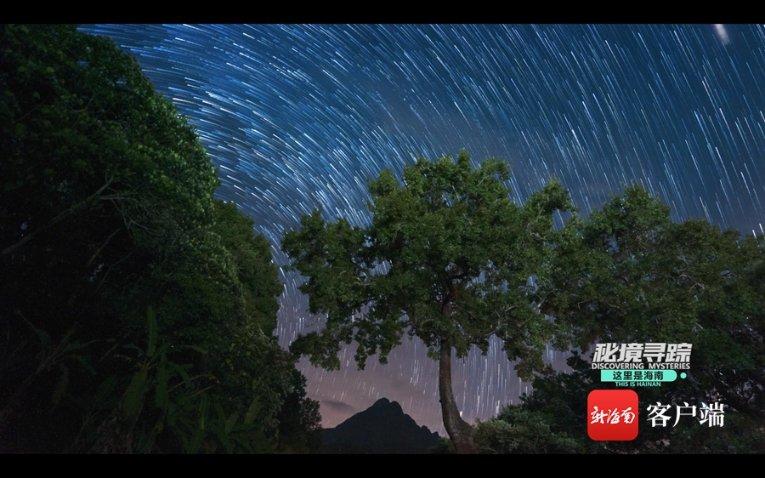 疯狂的麦克斯