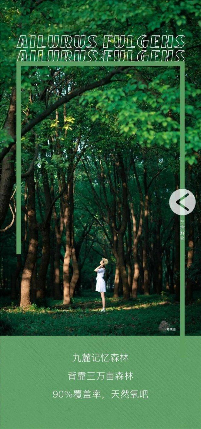 减肥期间该摄入什么类型的油脂？游戏画面